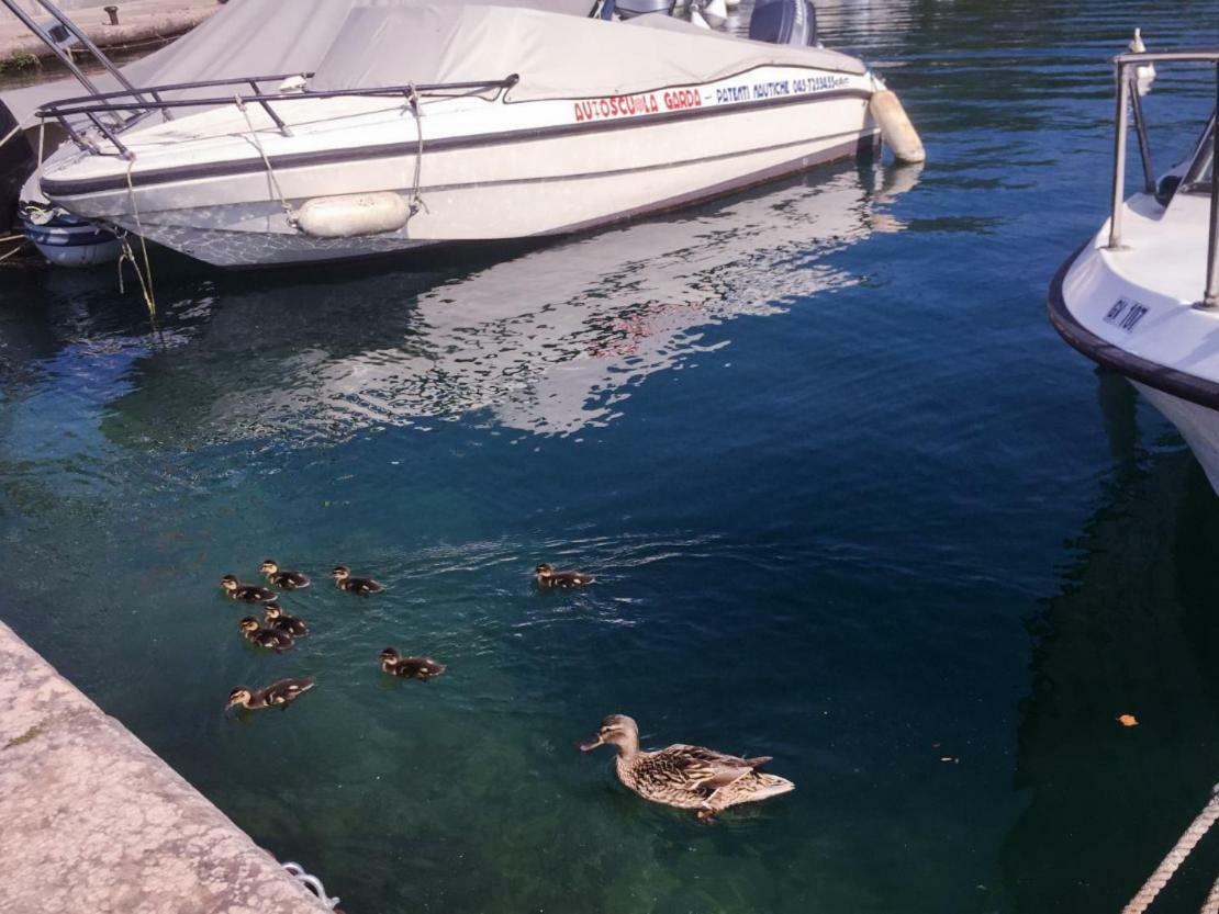 Appartamento Iris Garda  Dış mekan fotoğraf